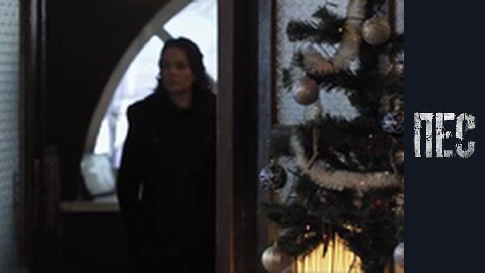 Пес. Новорічний, Серія 1