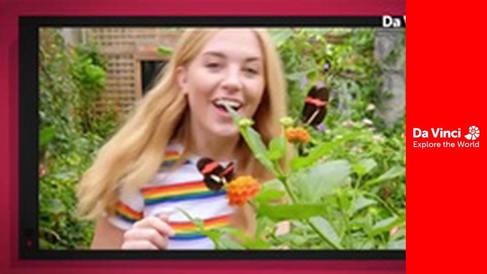 А ты знаешь? - Компост и растение