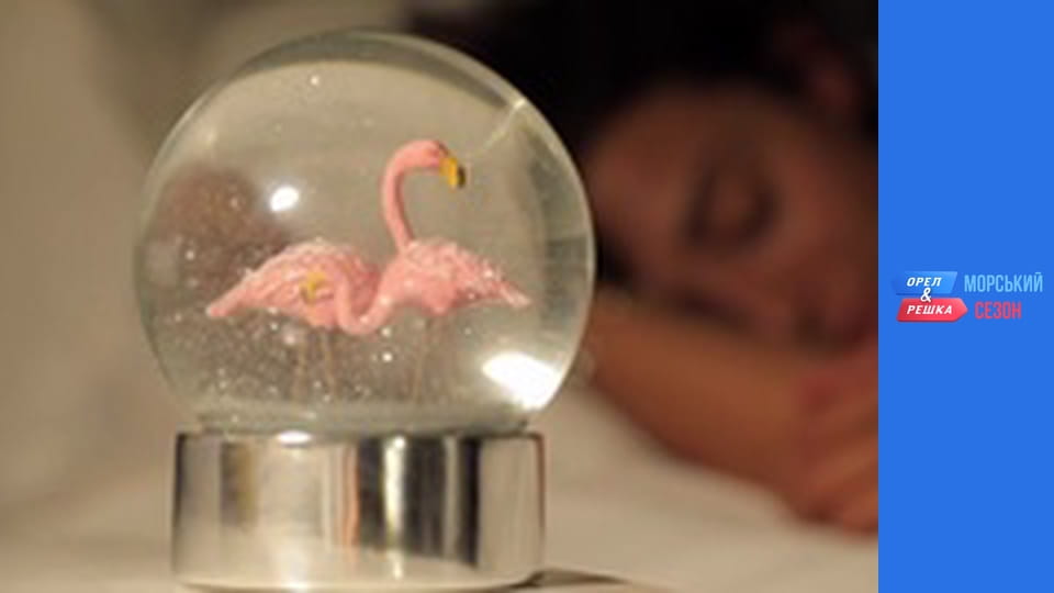 Морський сезон 2 - Випуск 19 - Флорида