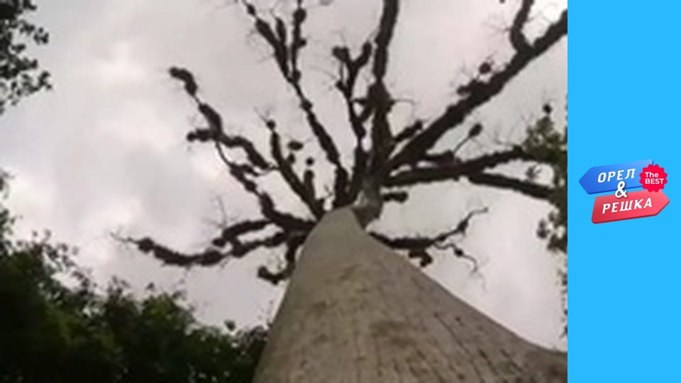 100 доларів, Випуск 69