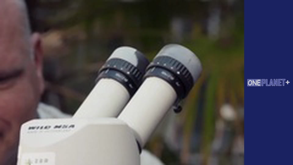 В поисках знаний. - cерия 11