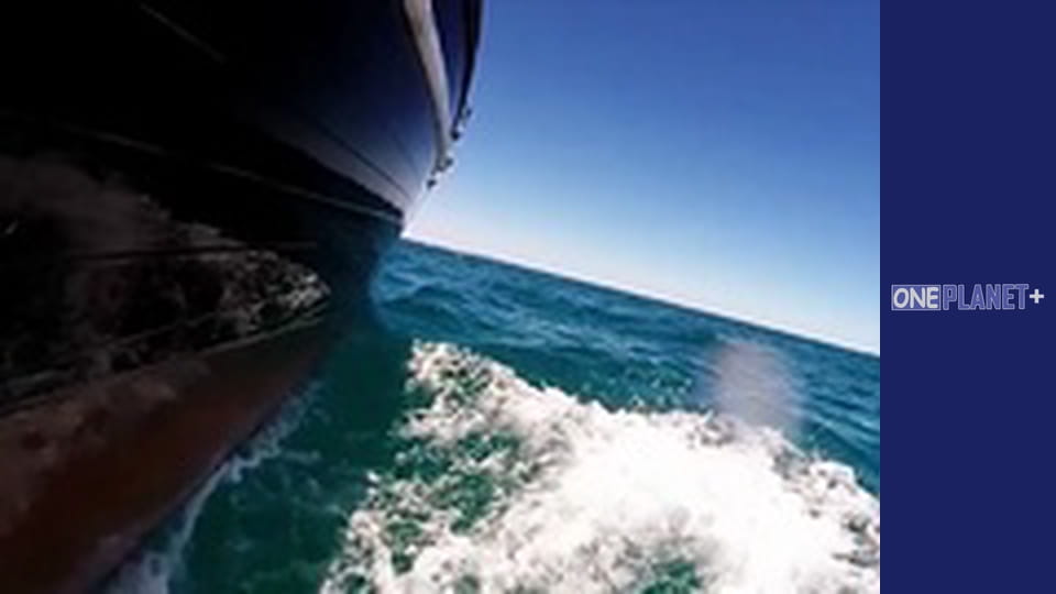 Мегаполіси, Сезон 1, Випуск 9