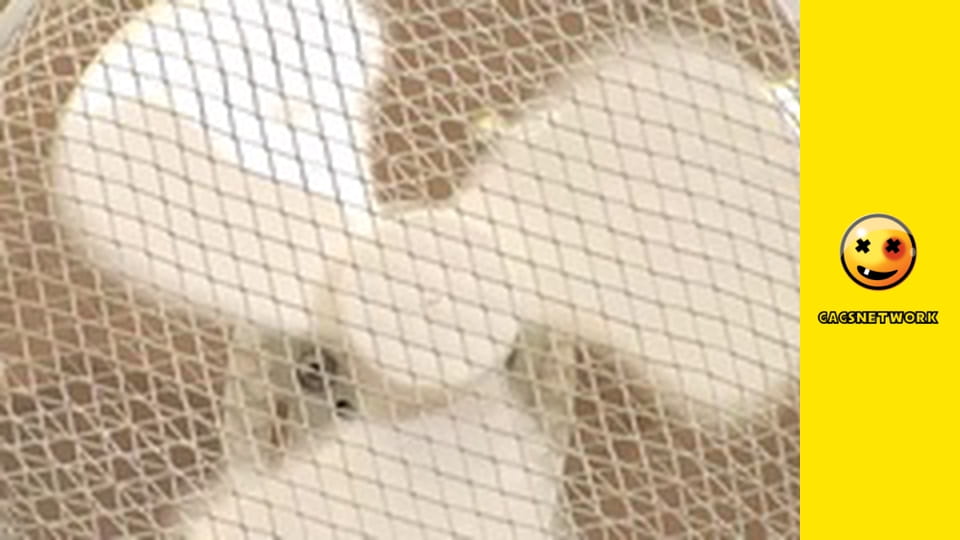 Funny & Funnier, 24 еп.