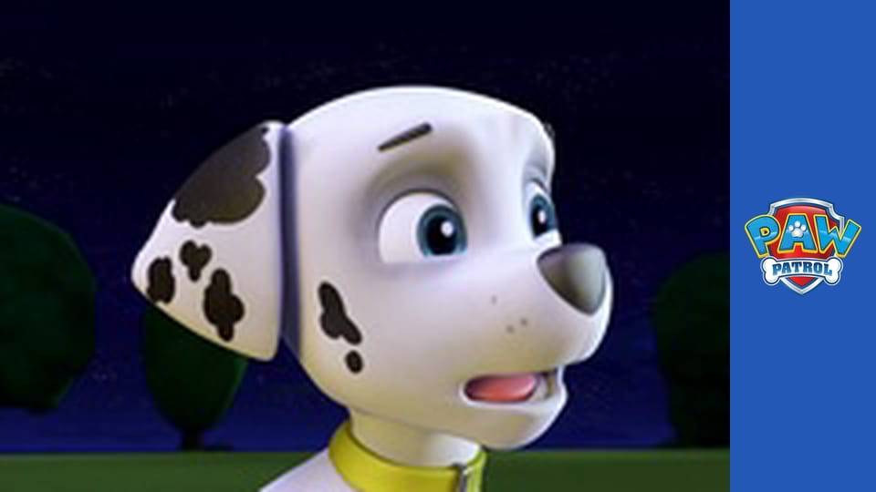 Paw Patrol Season 1 Episode 10