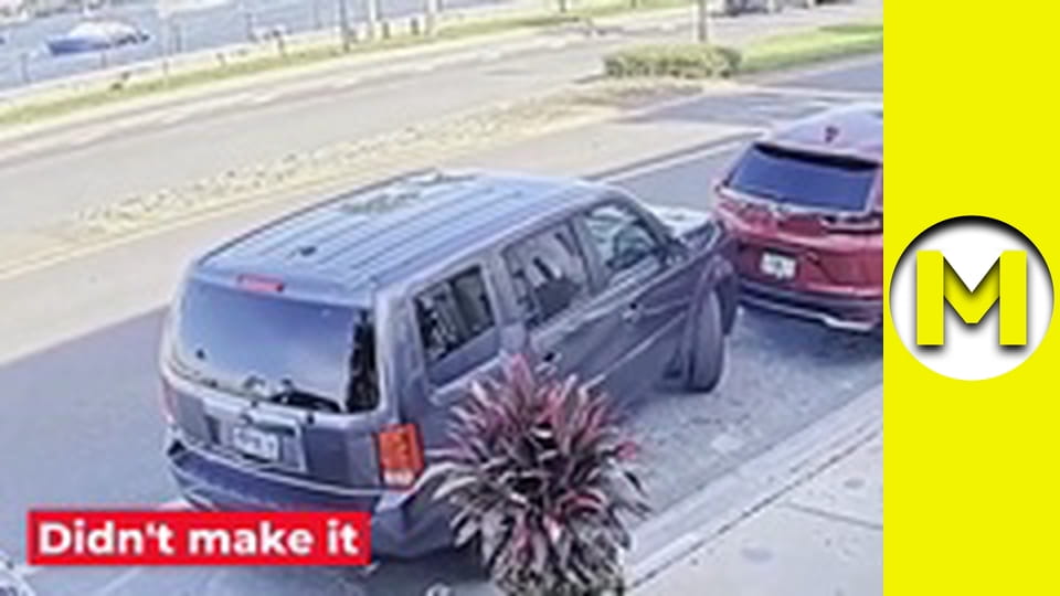 Max TV - сезон 1 - серія 20