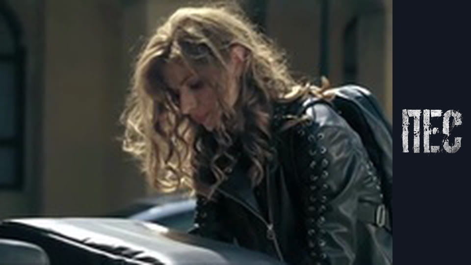 Пёс, Сезон 5, Серия 1