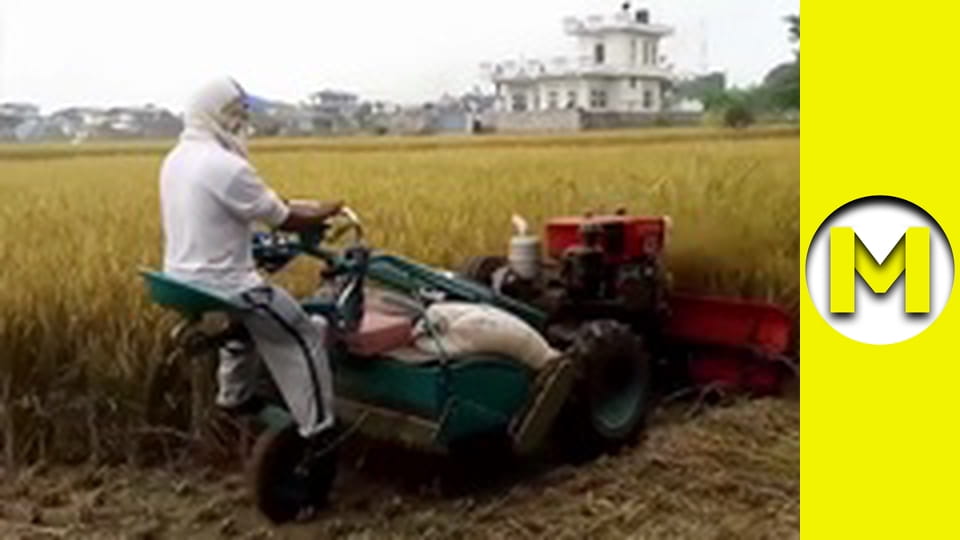 Max TV - сезон 2 - серія 19