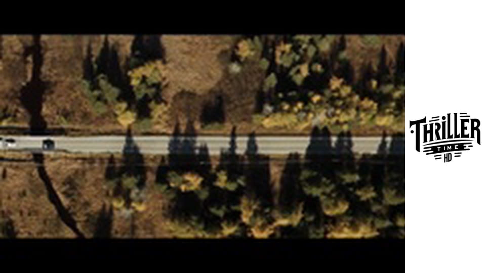 HUMMINGBIRD PROJECT, THE (Thriller Time RO)