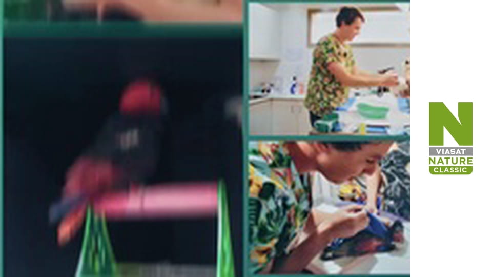 Клиника странных животных - Серия 5