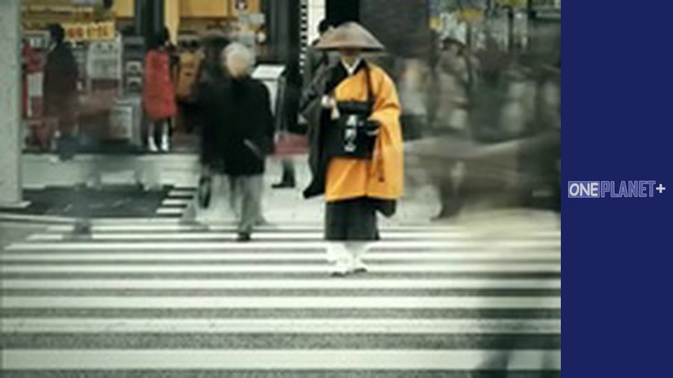 Цікаво, Сезон 1, Випуск 13