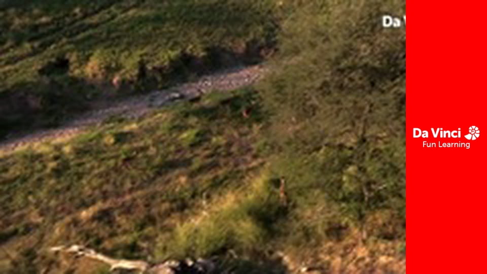 Сіяя - Рушайте з нами - Тшавхадзіму