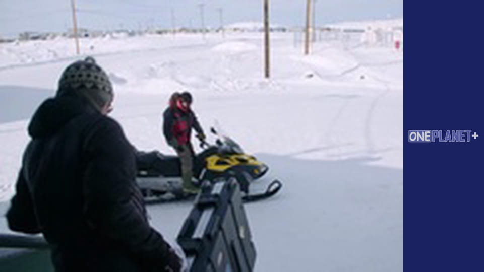 У пошуках знань. - серия 8