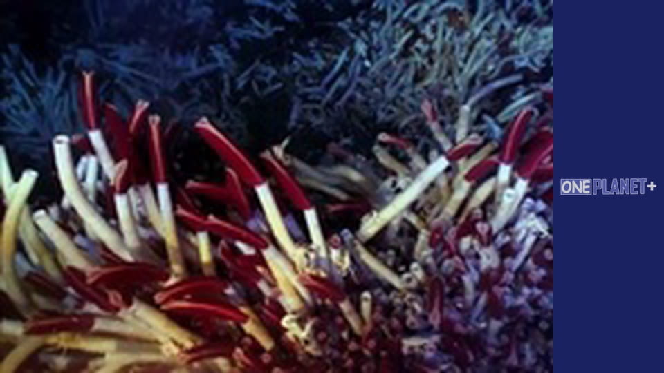 In search of knowledge. - episode 12