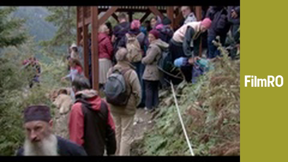 Arsenie. An Amazing Afterlife