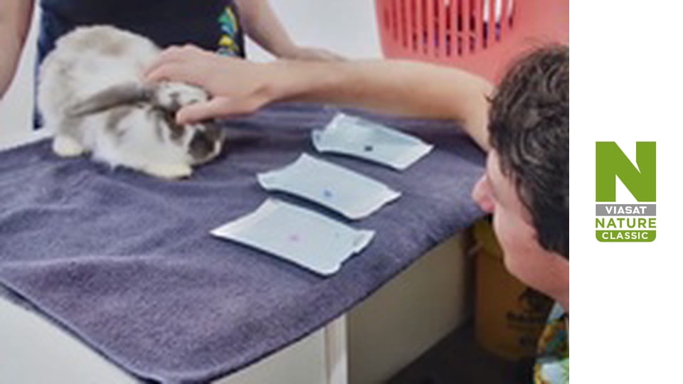 Кліника дивних тварин - Серія 6