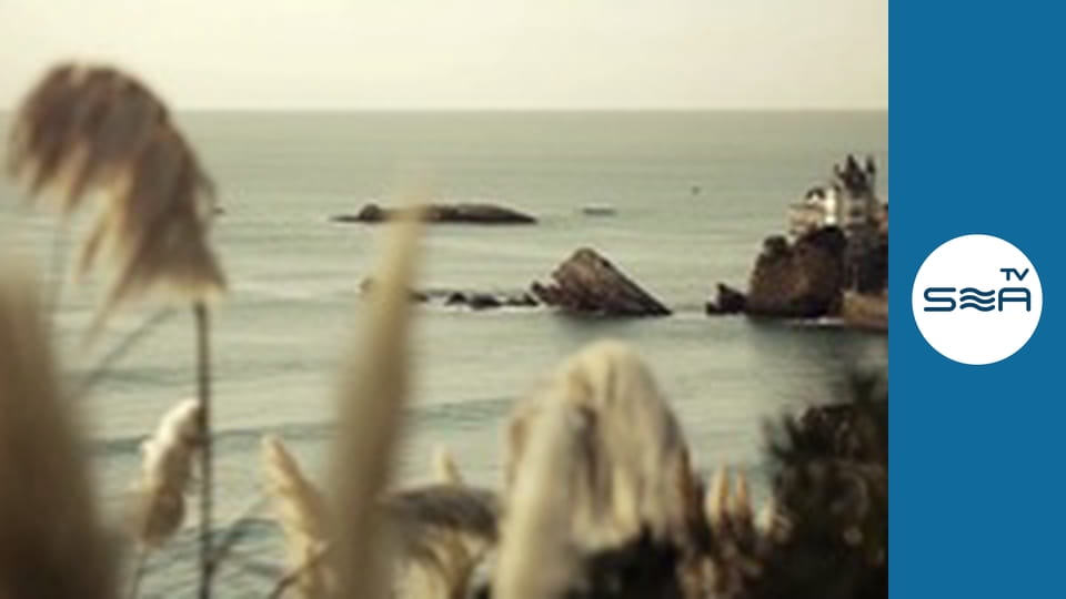 Сёрфинг навсегда