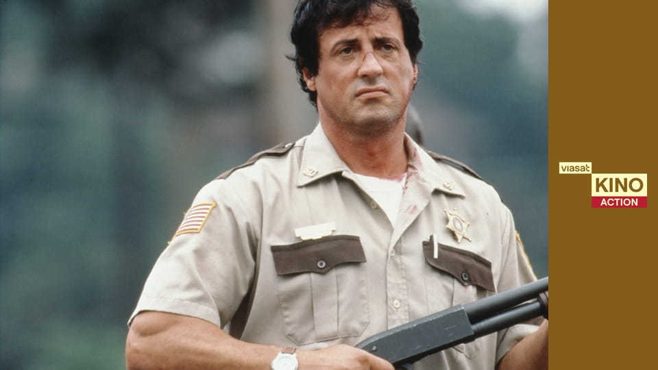 Поліцейські