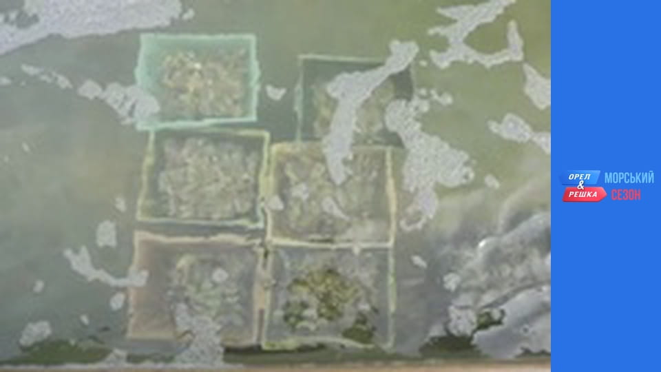 Морський сезон - Випуск 19 - Ля-Рошель