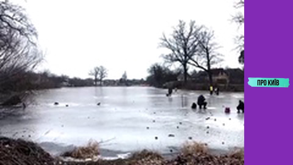 Боярка: другий Хрещатик під Києвом, який народив творця ядерної зброї.