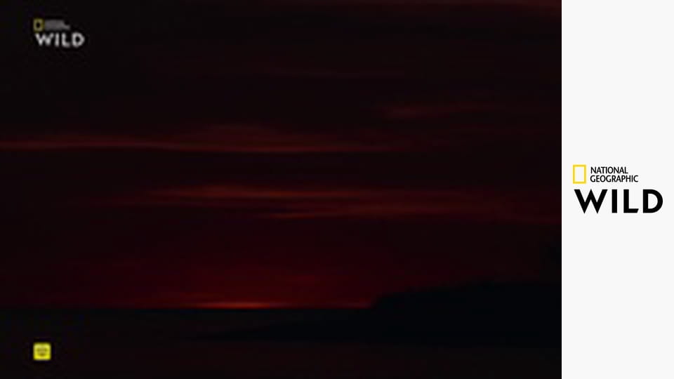 Построенный, чтобы выжить S1E3