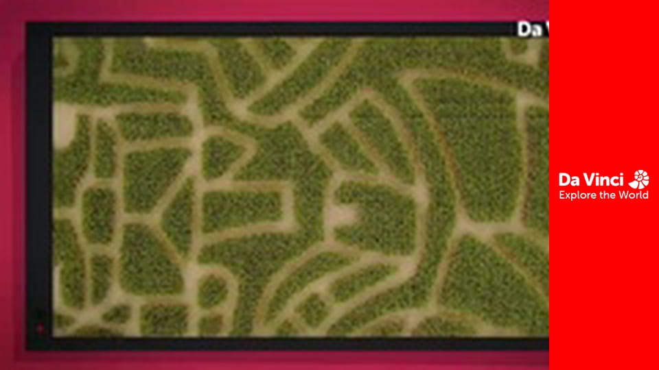 А ти знаєш? - Багаж в аеропорті і рюкзак