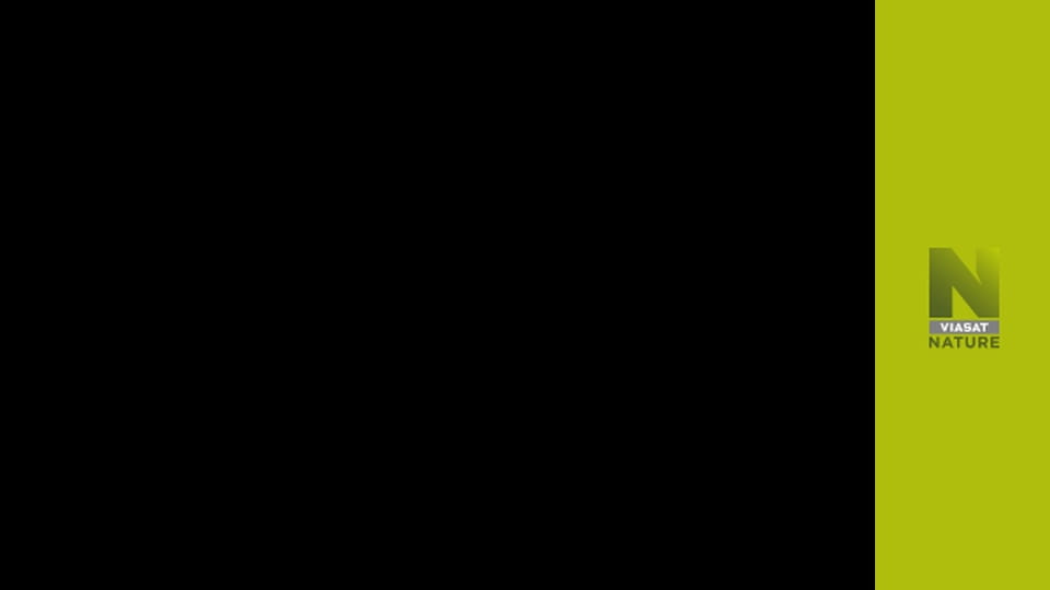 Еволюція S1E5 - Рух