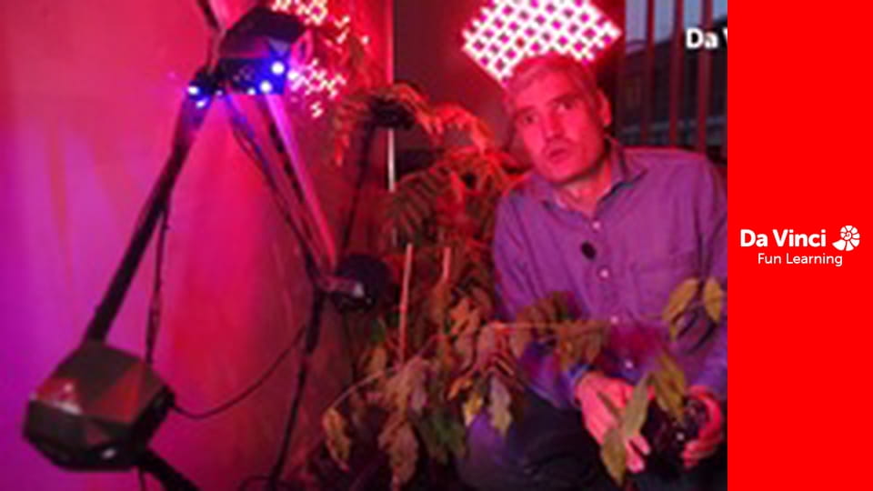 Futuris - Flora Robotica