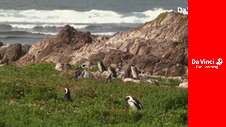 Siyaya - Kalandozz velünk! - A negy hetes nyomában 1. rész: Az édenkert