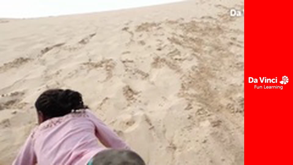 Сияя - Дикий мыс - Робберг - знание о выживании