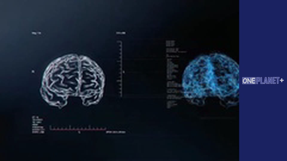 Таемниці Мозку - cерия 4