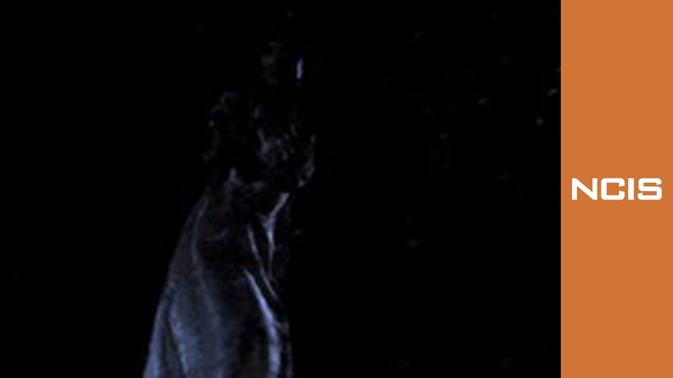 NCSI Season 1 Episode 10