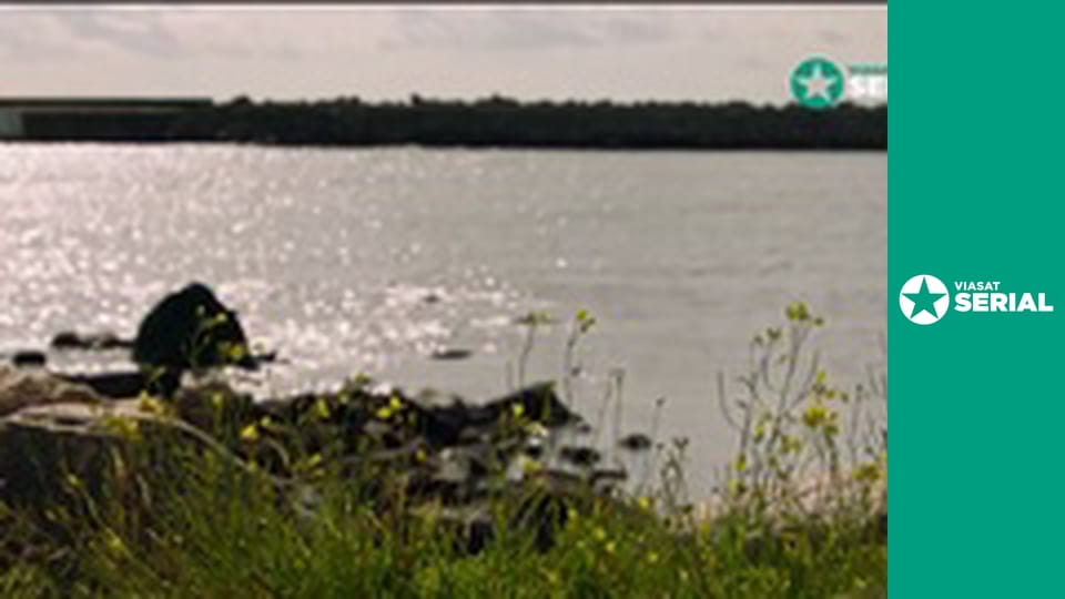 Т/с "Пляжний готель", 4 сезон, 7 с.