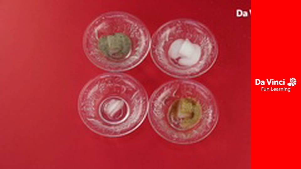 Розумна наука - Перегони з таненням криги