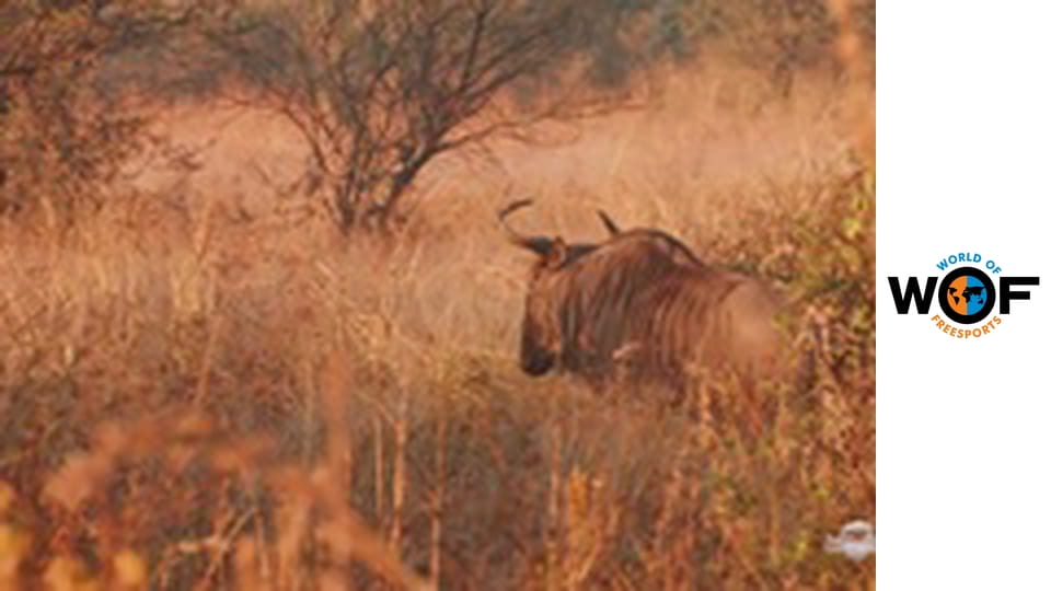 Motor Sport Season 1 Episode 1