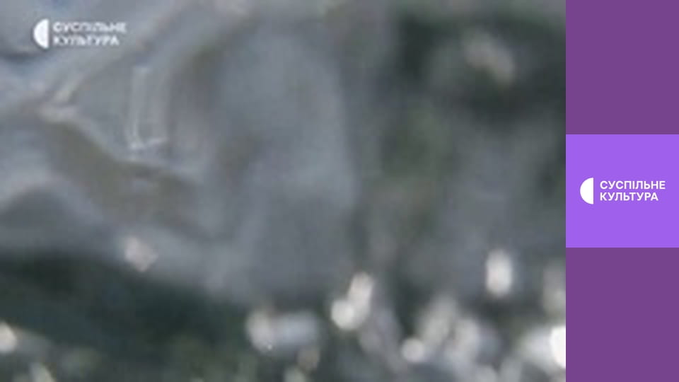 Д/с "Суперздібності тварин". "Шосте чуття".