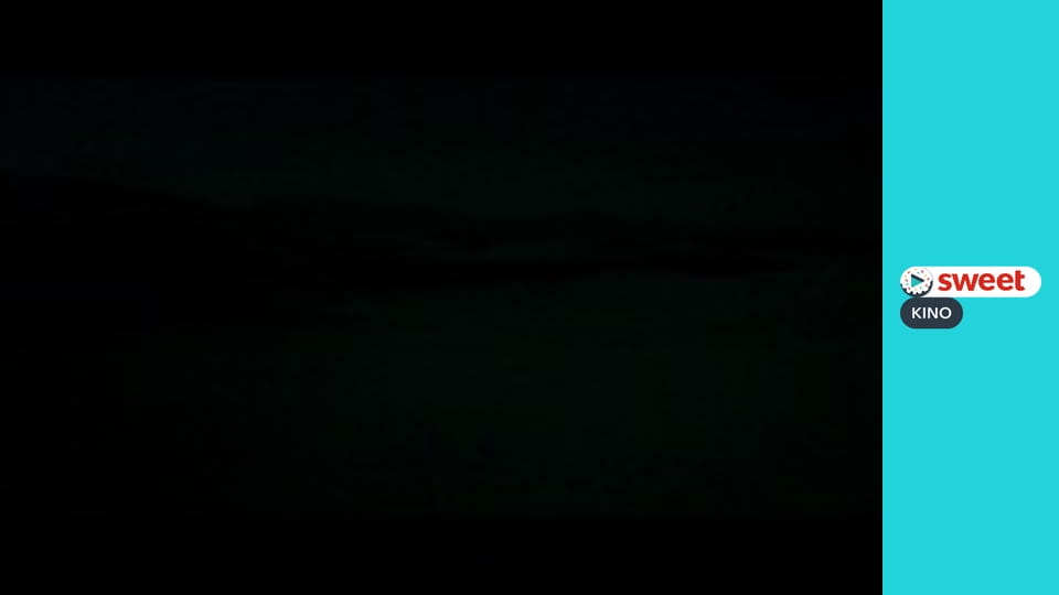 Teenage Mutant Ninja Turtles