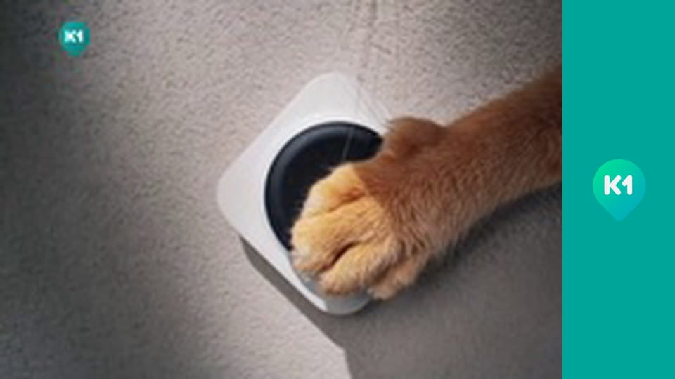 "Покутні. Разом по світу".