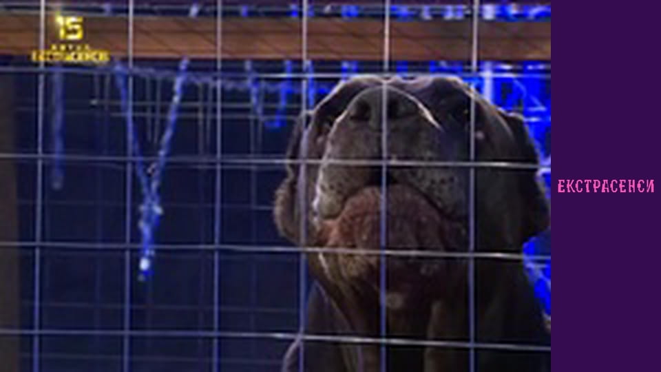 Сезон 15, Випуск 3, Частина 1