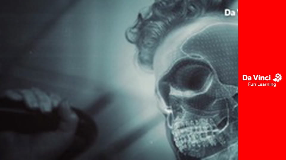 Пошук надлюдини - Будова мозку