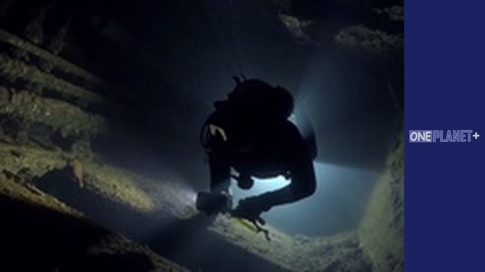 Подорож у Минуле, Випуск 12