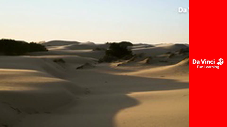 Siyaya - Wildest Cape - West Coast - Heading For Bird Island