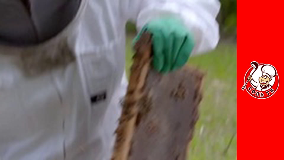 Готуємо із серфінгістами, 5 еп. Північний Квінсленд.