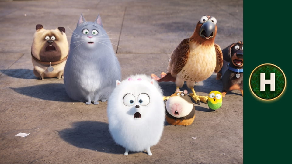 Секрети домашніх тварин