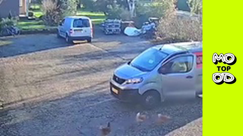 TopMood - Випуск 44