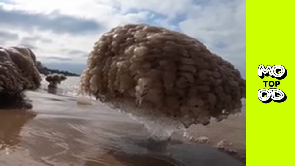 TopMood Сезон 2 Епізод 136