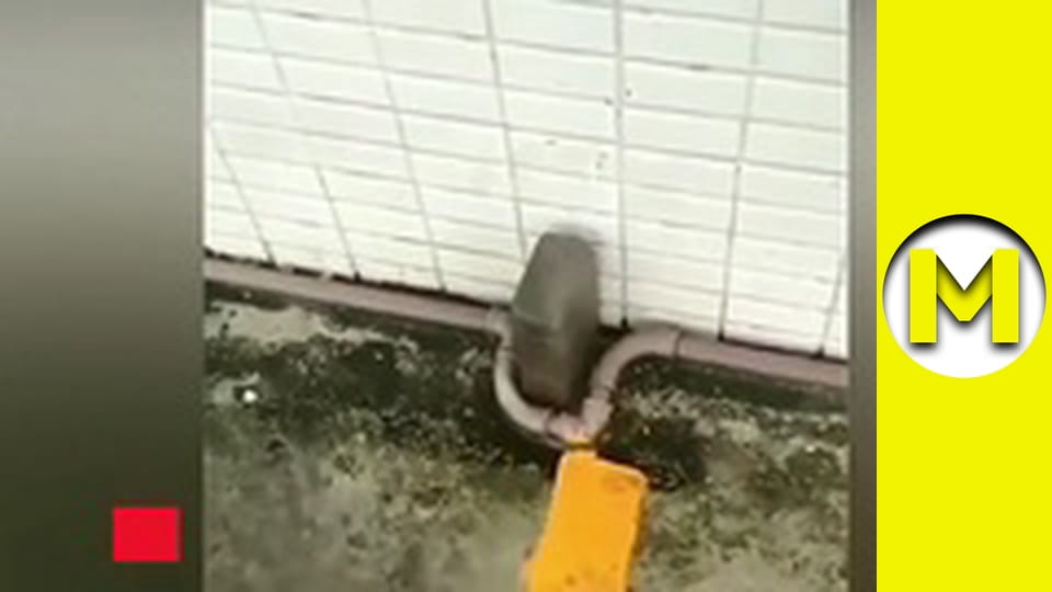 Max TV - сезон 1 - серія 22