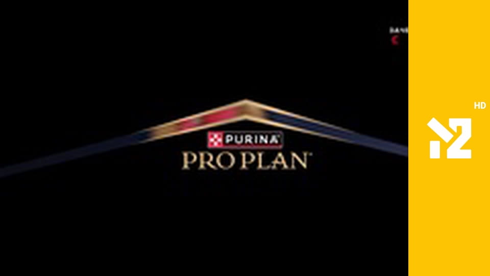 Хіти Non-Stop M2