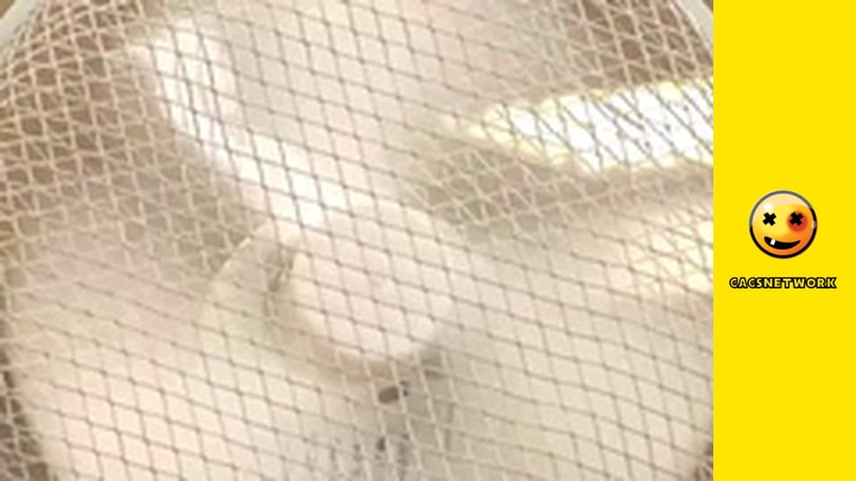 Funny & Funnier, 24 еп.