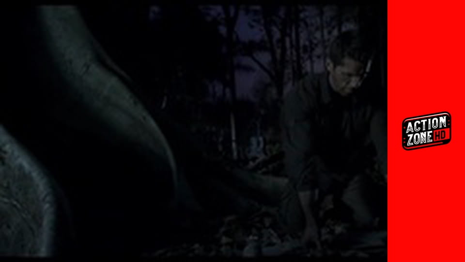 Ninja: Shadow of a Tear