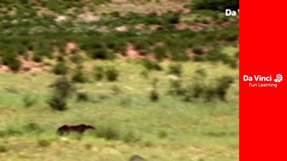 Сияя - Отправьтесь с нами - Когда говорит луна